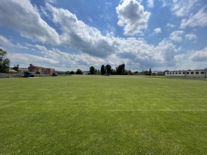 IMG_5389